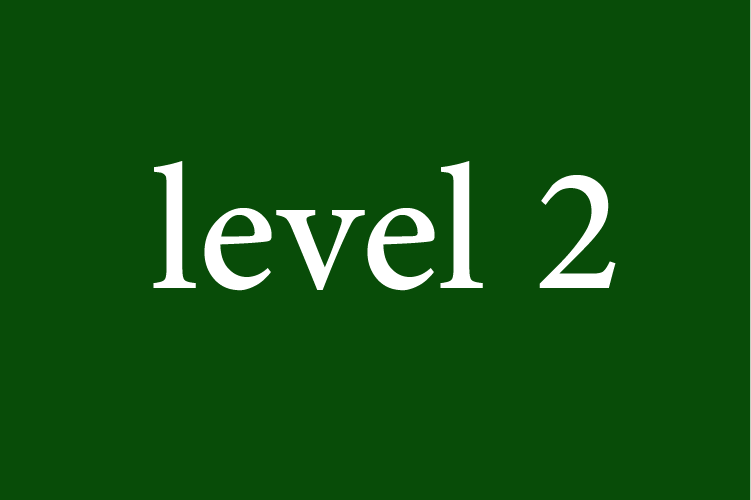 Level 2: Basics of Arabic
