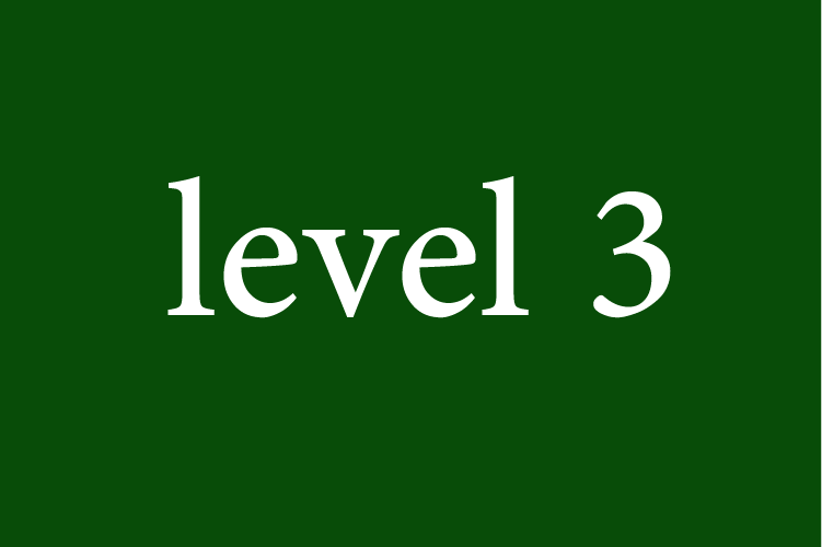 Level 3: Arabic for Beginners