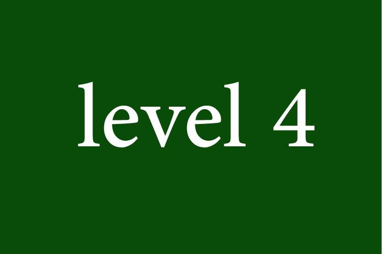 Level 4: Arabic for Beginners