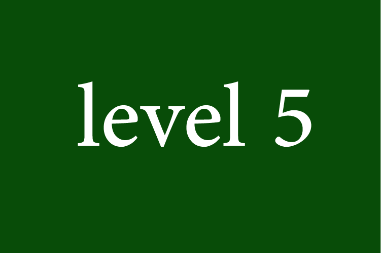 Level 5: Arabic for Beginners
