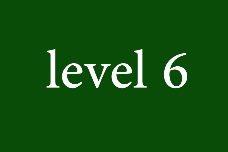 Level 6: Arabic for Beginners