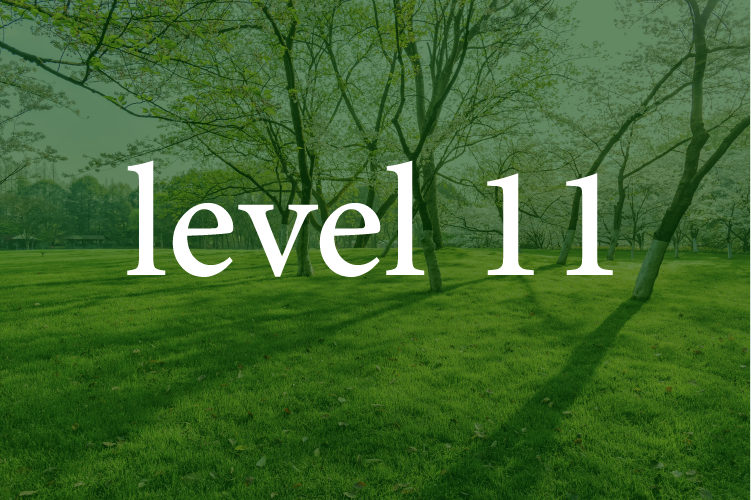 Level 11: Arabic for Intermediates
