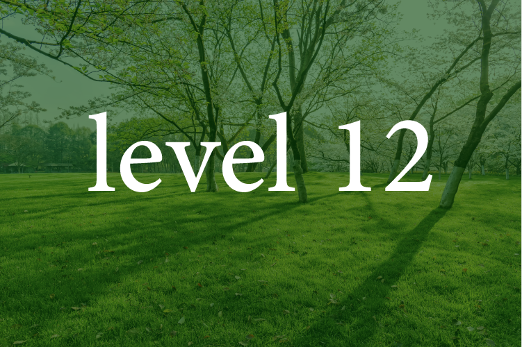 Level 12: Arabic for Intermediates