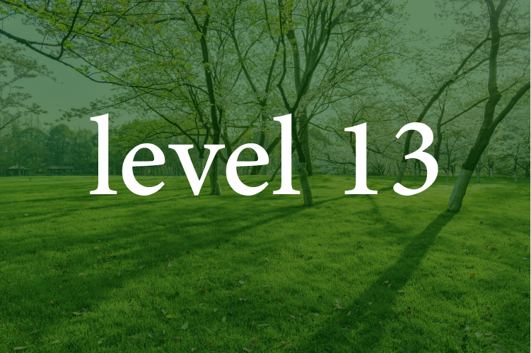 Level 13: Arabic for Intermediates